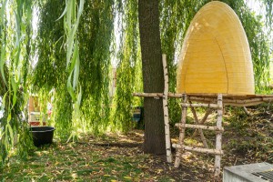 Ausstellung Bee Chapel in der Hafencity